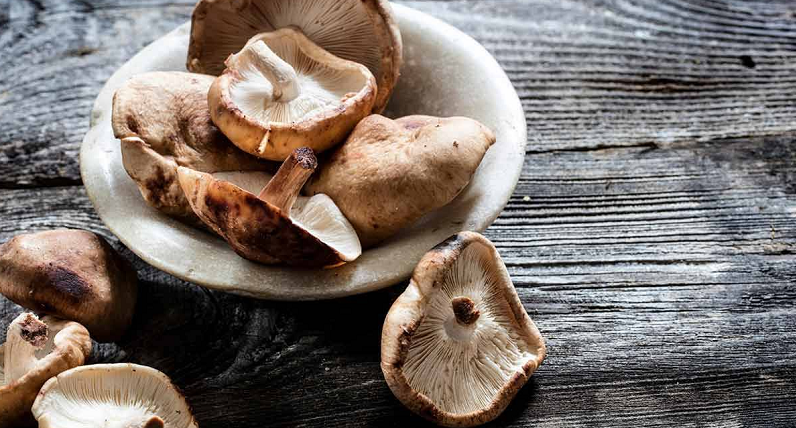 mushroom extracts skin benefits