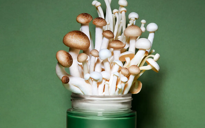 mushroom extracts skincare routine